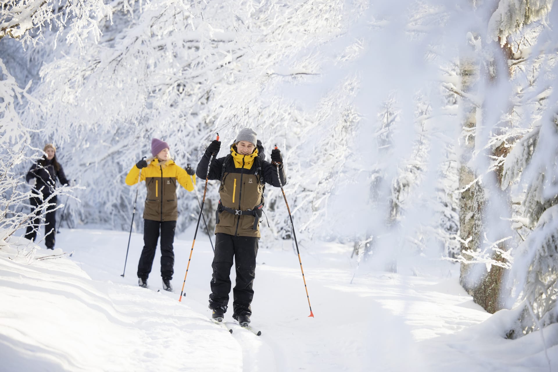 Short skiing tour From guesthouse to guesthouse