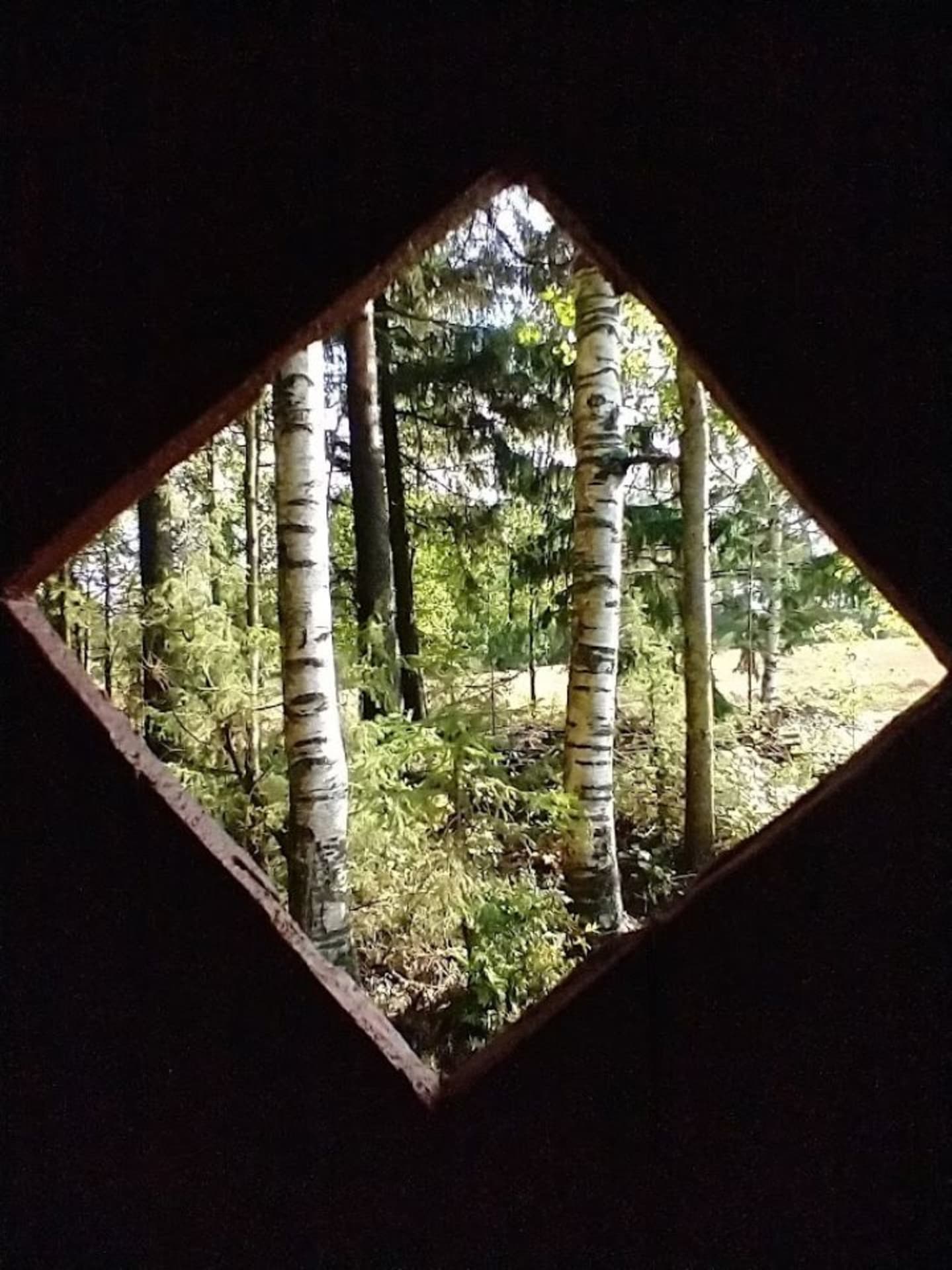 creative nature photography