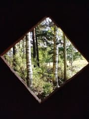 creative nature photography