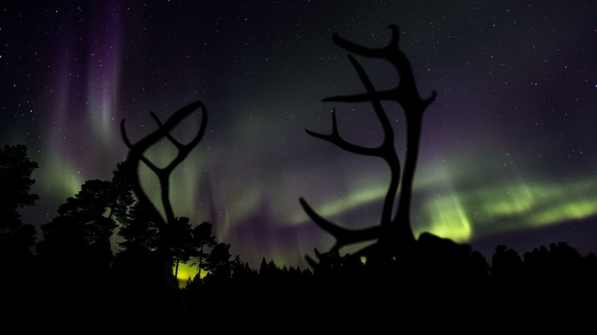 Northern lights
