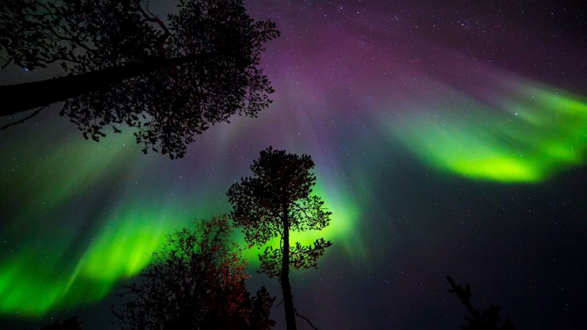 Northern lights