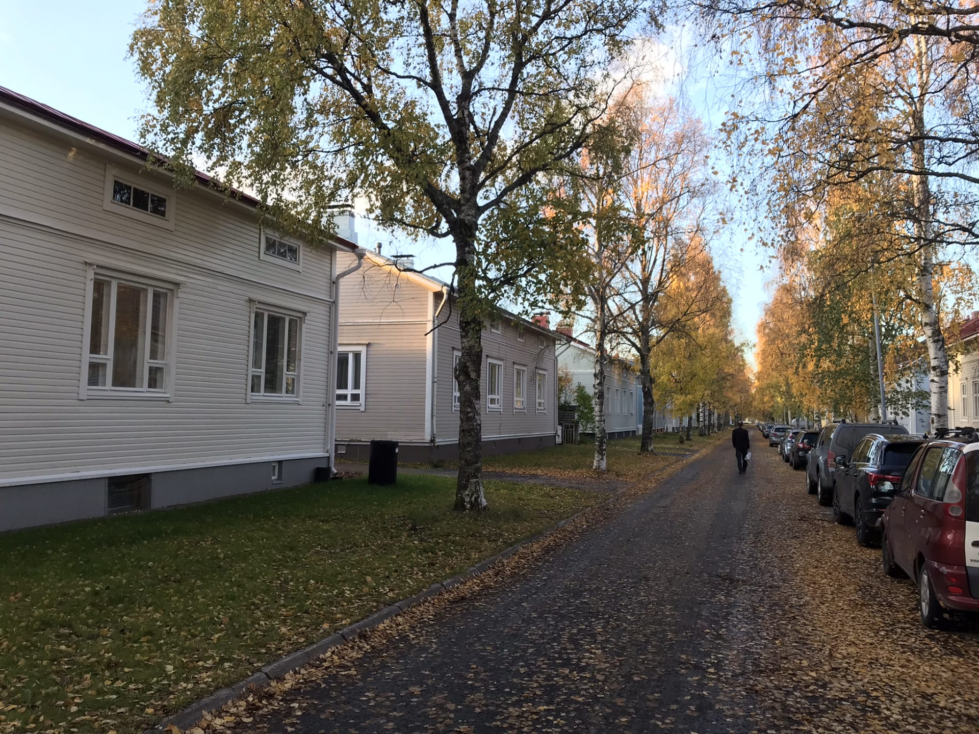 Row of pastel colored houses in Raksila with autumn foliage.