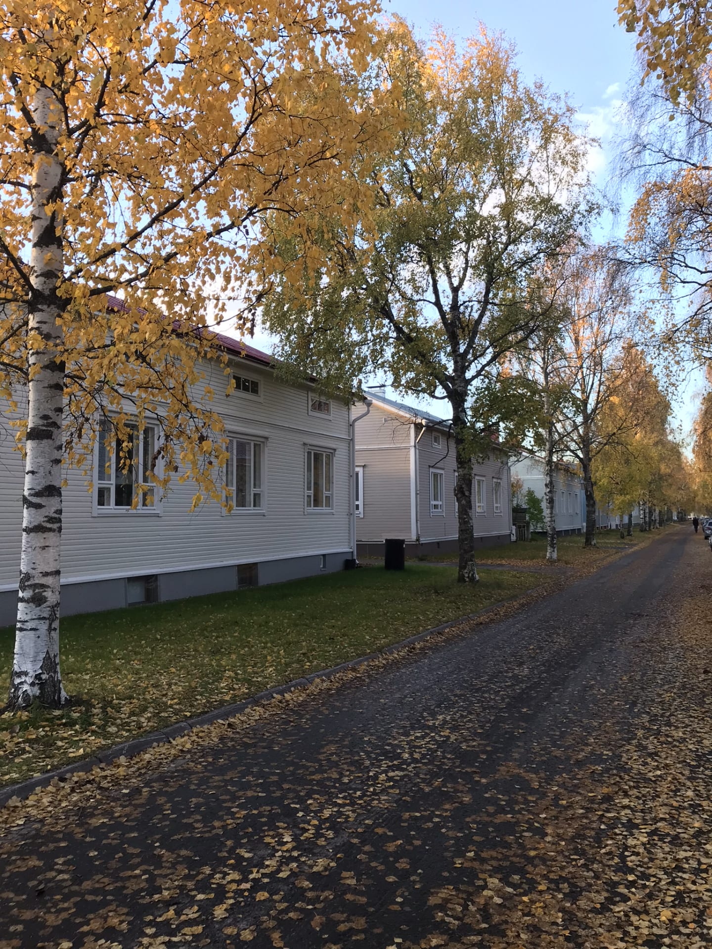 Row of pastel colored houses in Raksila with autumn foliage.