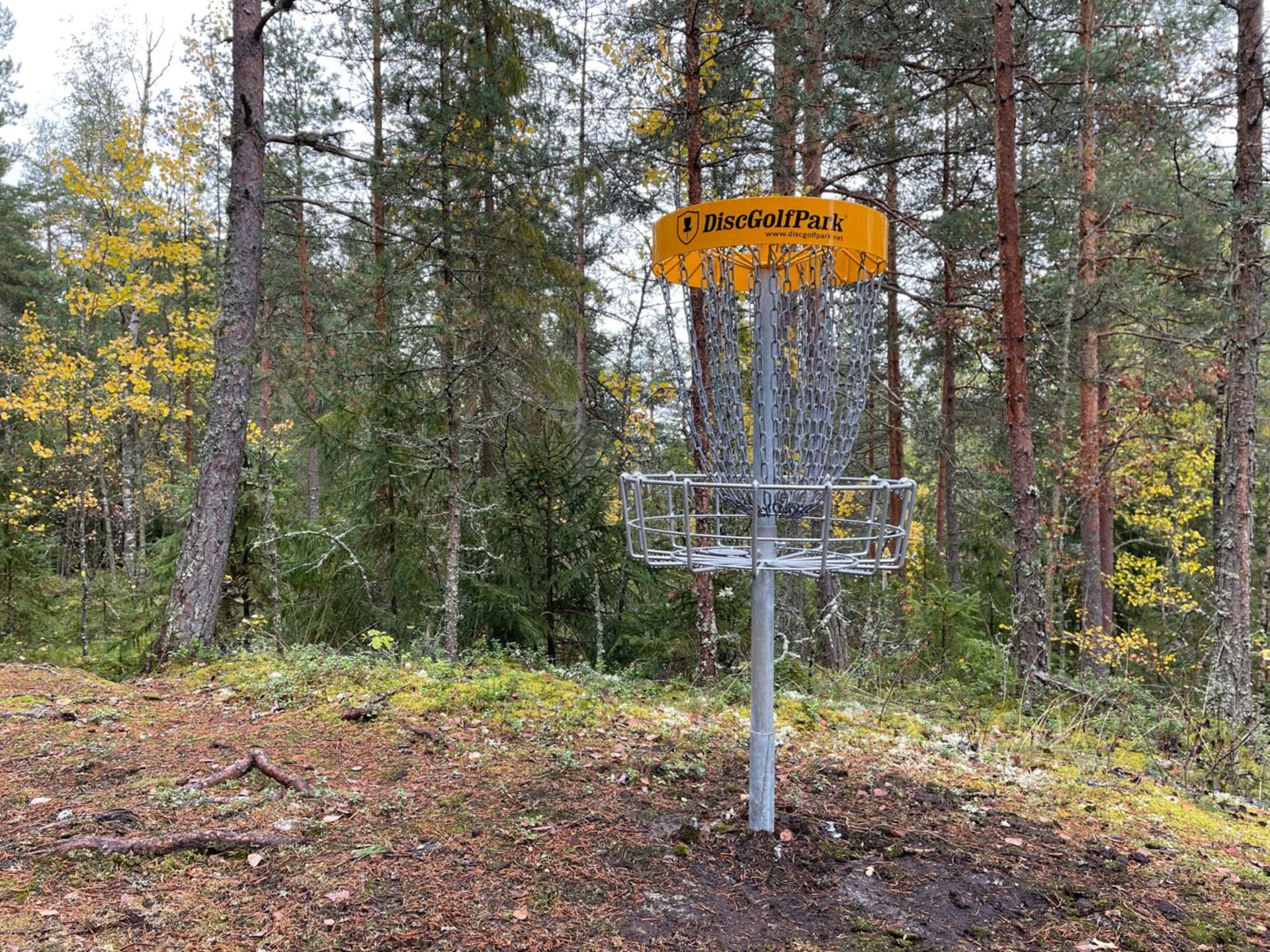 Frisbeegolfradalla oleva kori, johon kiekkoja heitetään - © Vesilahden kunta