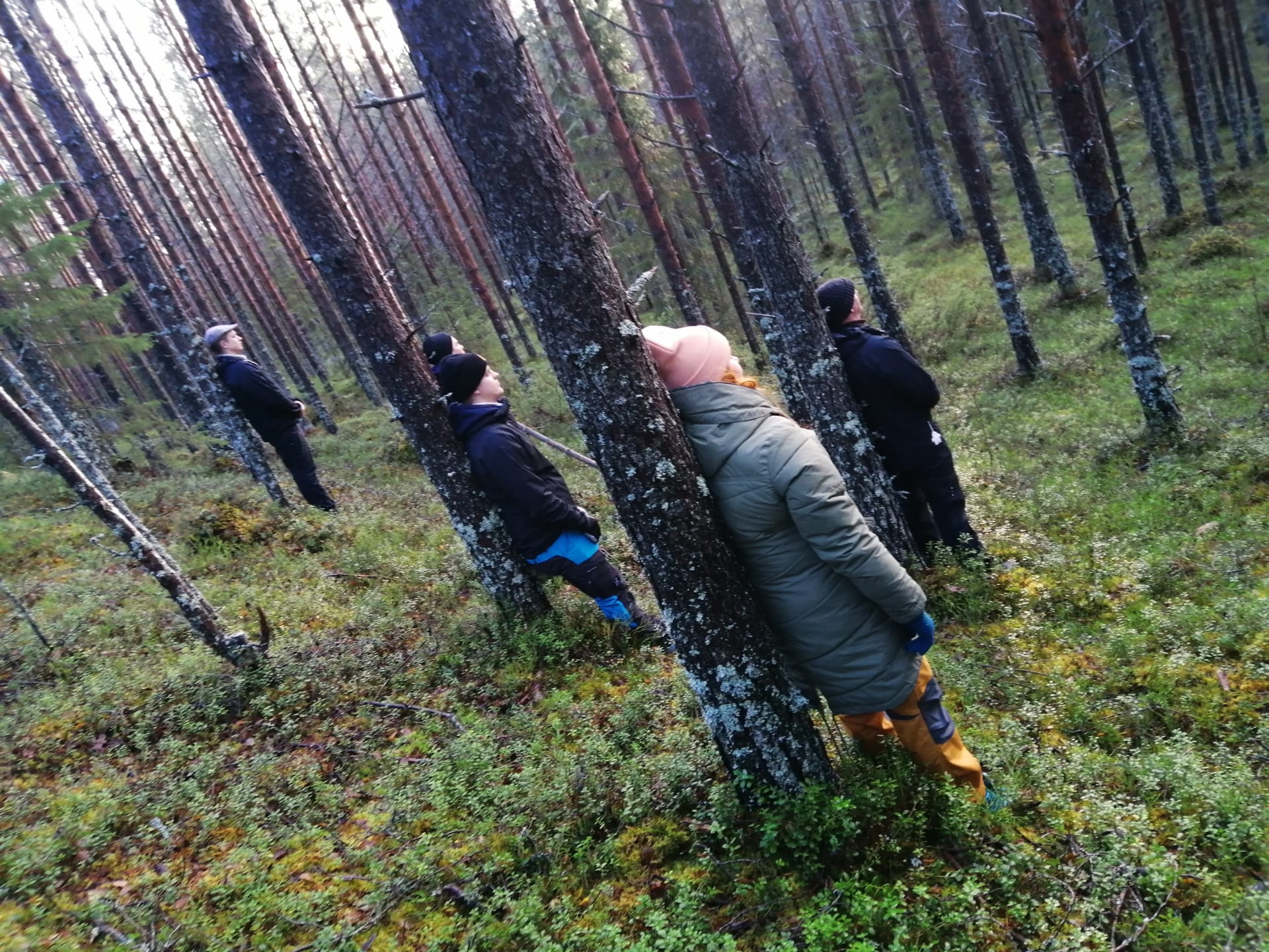 People resting in Finnish woods