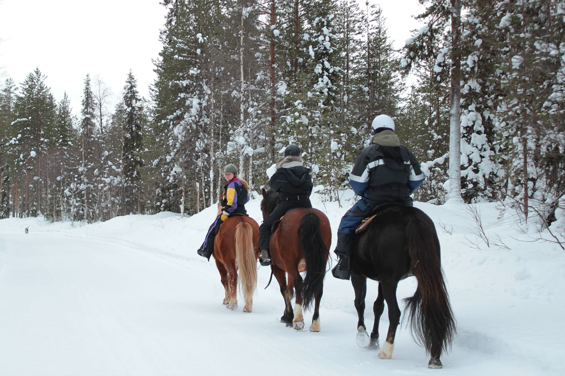 winter time ride is a snowy ride