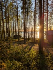 The sun sets behind the trees on the lake.