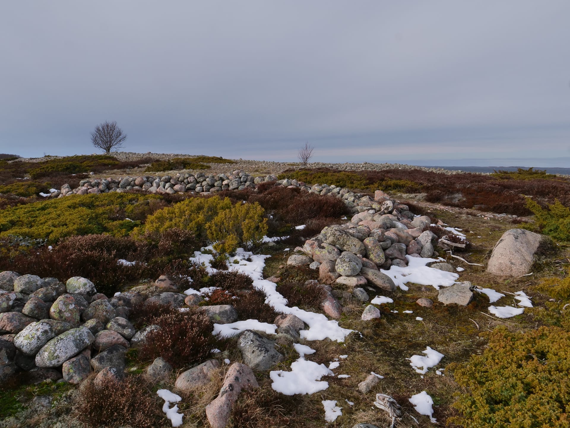 Kanervikon keskellä on päänkokoisista kivistä rakennettu kehä, jonka halkaisija on viitisen metriä. Kanervikon takana näkyy merta.In the middle of the heather there is a ring built of head-sized stones.