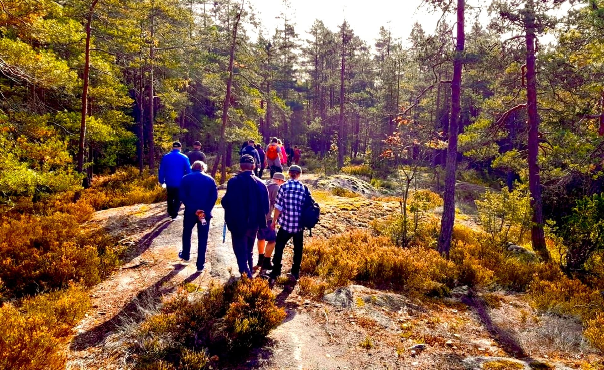 Hike in Nuuksio