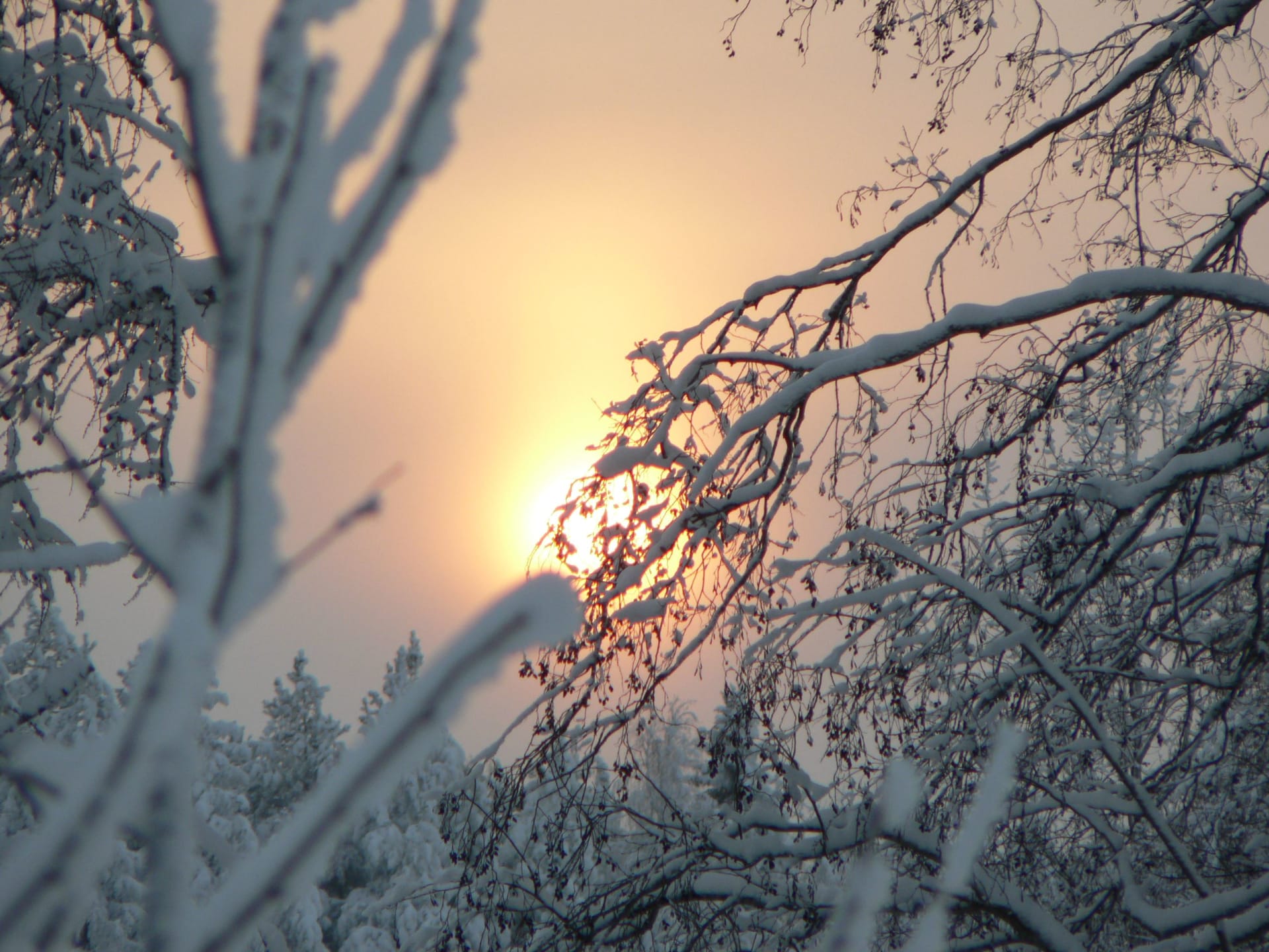 Pre-Christmas Magic in the Finnish Lakeland