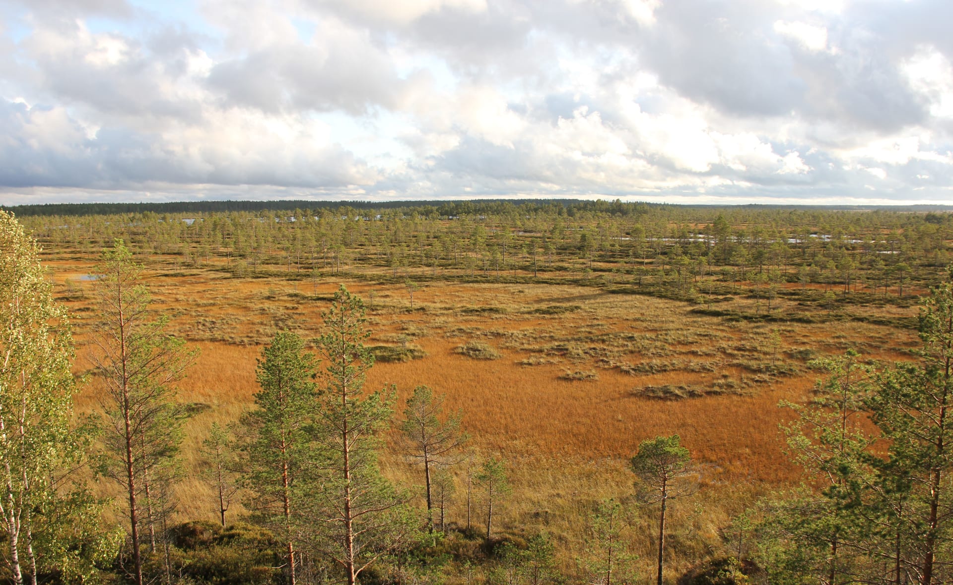 Kauhaneva-Pohjankangas National Park
