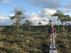 Retkeilijä kävelemässä pitkospuilla syksyisen Kauhaneva-Pohjankankaan kansallispuiston suomaisemissa. Kuva: Maija Mikkola