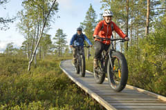 Kaksi pyöräretkeilijää ajamassa reitillä suomaisemassa. Kuva: Terttu Hermansson