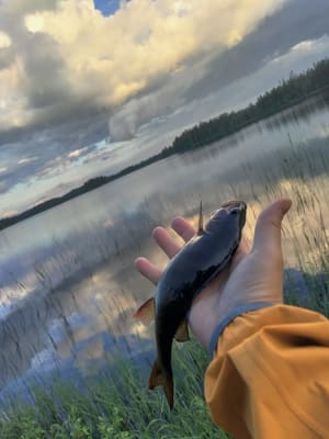 Kalastusretket Kuhmon korpijärville