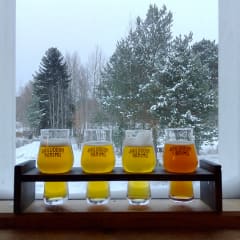 Tasting of four different beers at the Brewery
