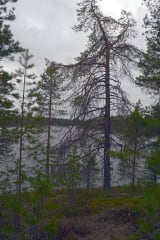 Lehtiniemi Guesthouse - Suolijärvi lake