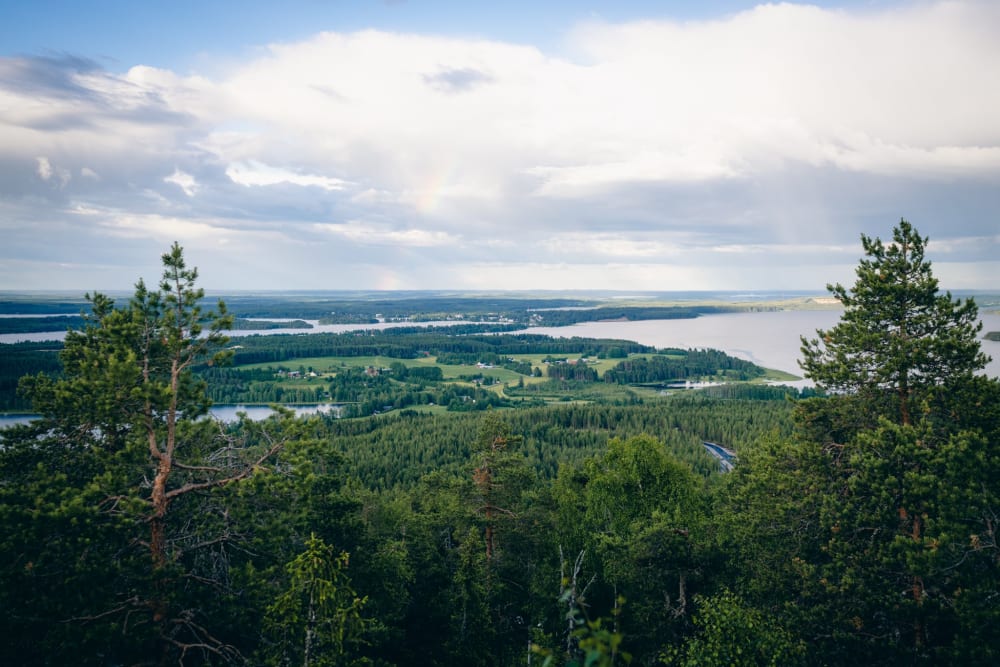 Summer view from the Vuokatti Hill
