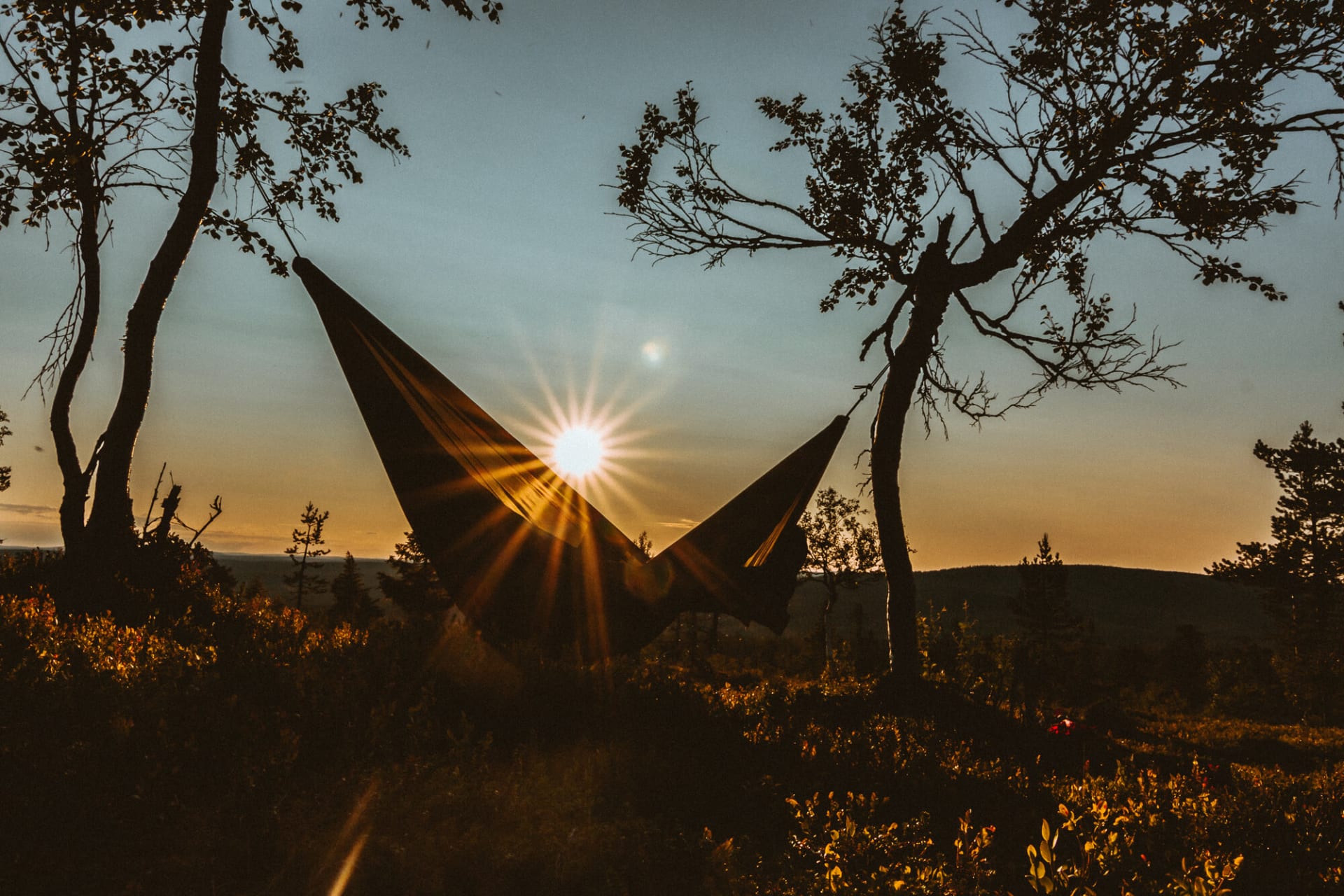 midnight sun