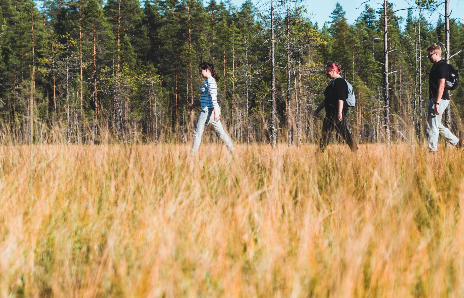 www.aksytammat.fi