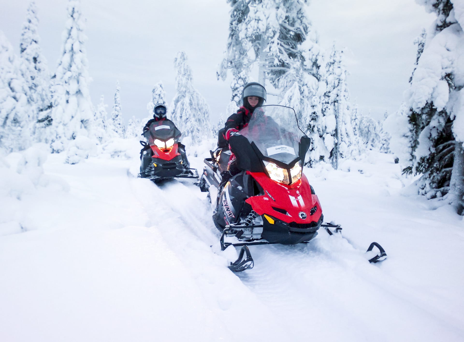 Snowmobile Safari to Reindeer Farm with Short Sleigh Ride - Rovaniemi ...