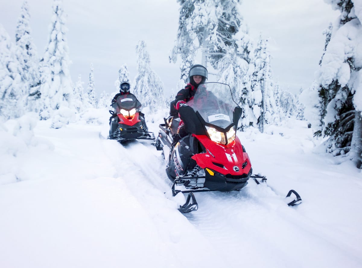 Snowmobiling Finland Snowmobile Safari to Reindeer Farm with Short Sleigh Ride - Rovaniemi ...
