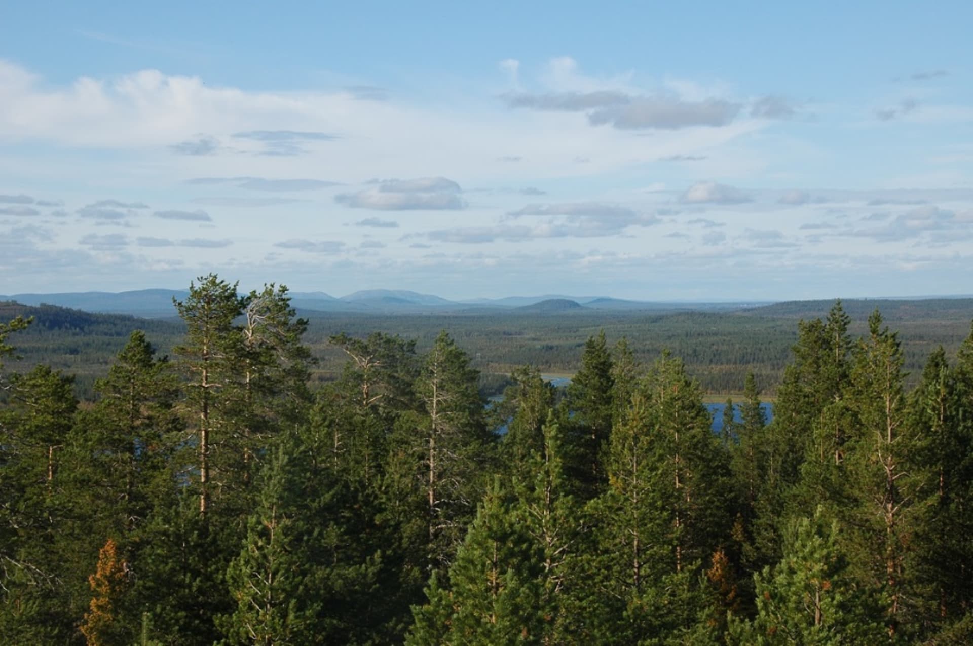 Kotavaara Observation Tower | Visit Finland