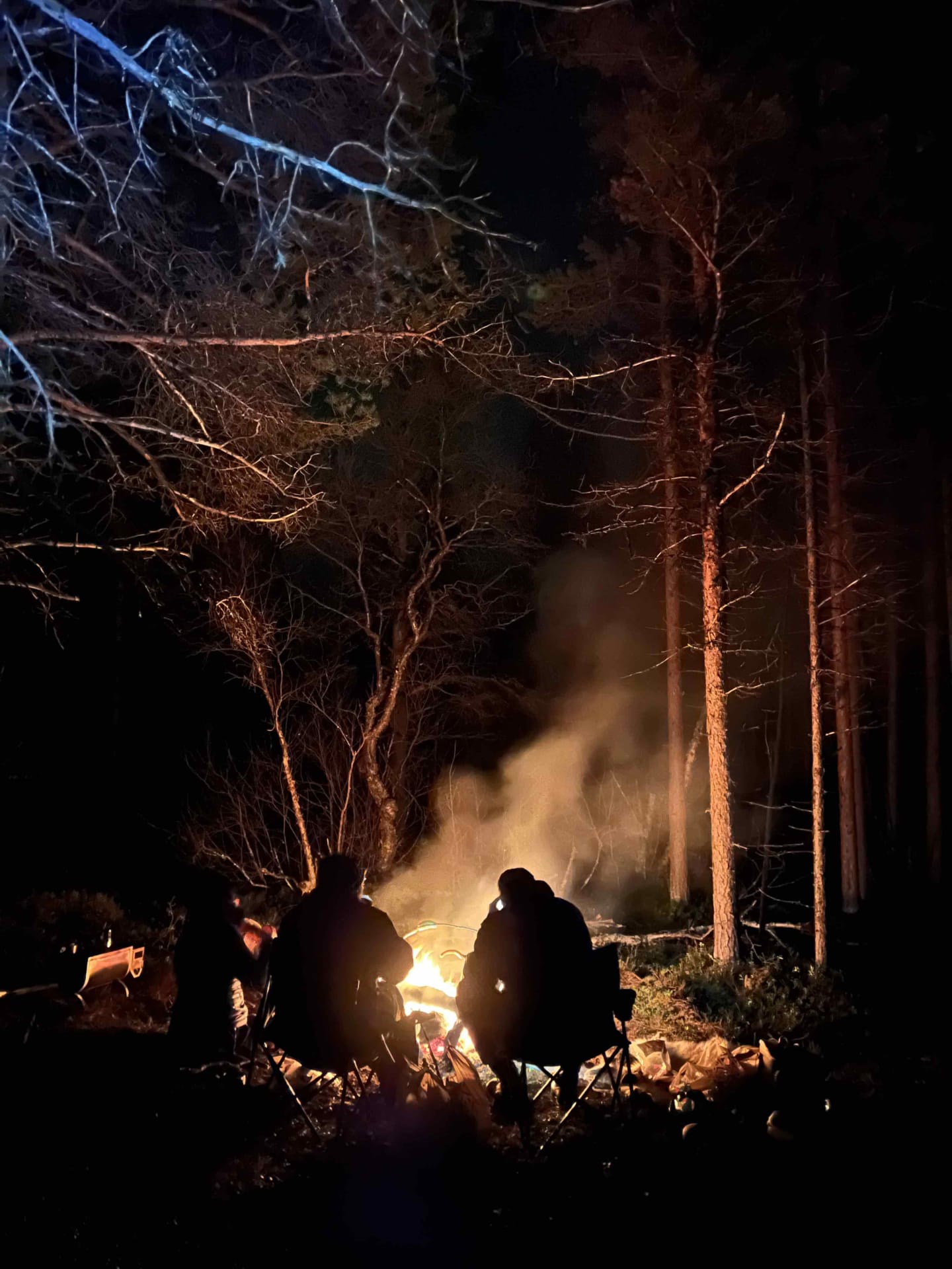 Tailored wilderness tours & hunting