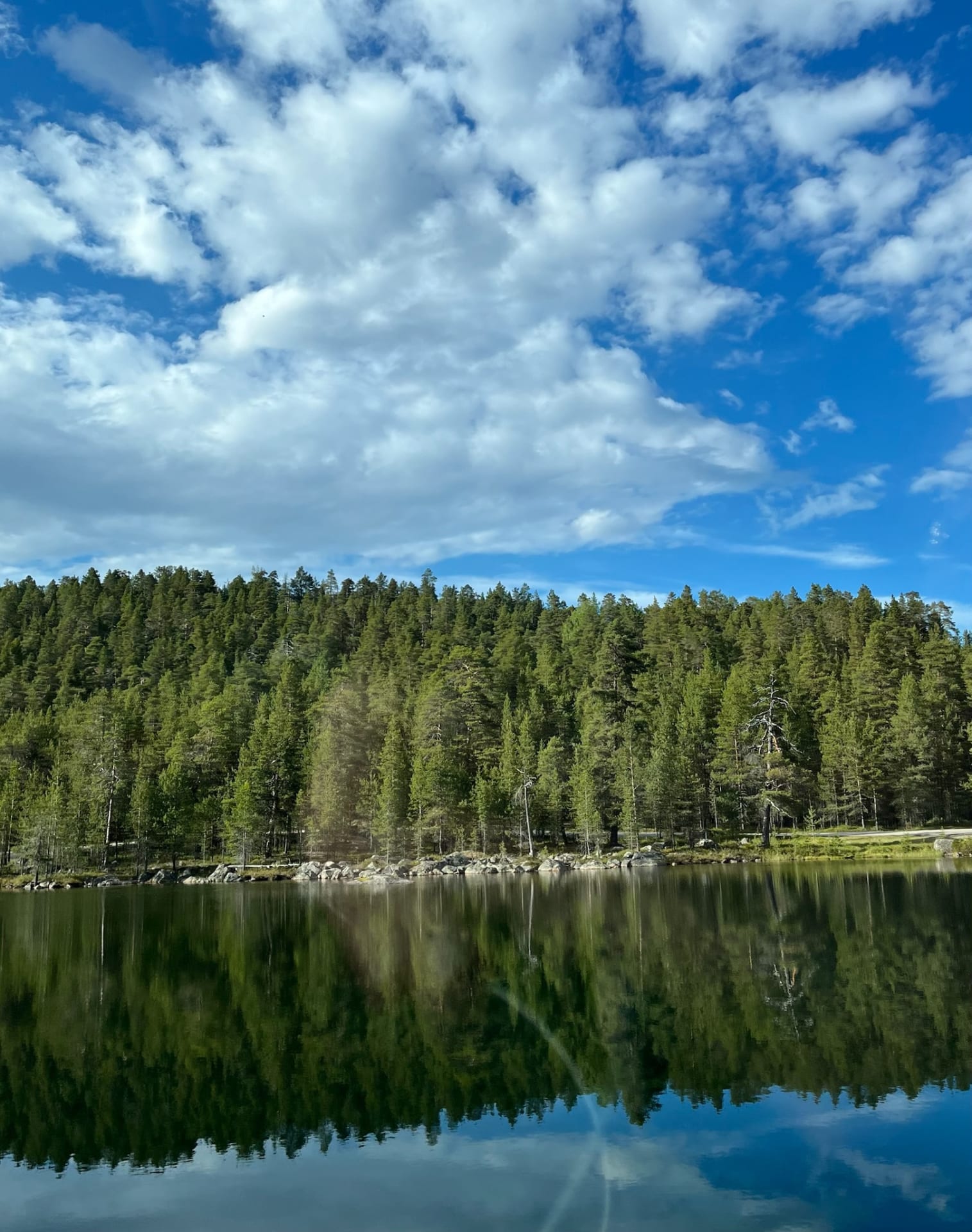 Tailored wilderness tours