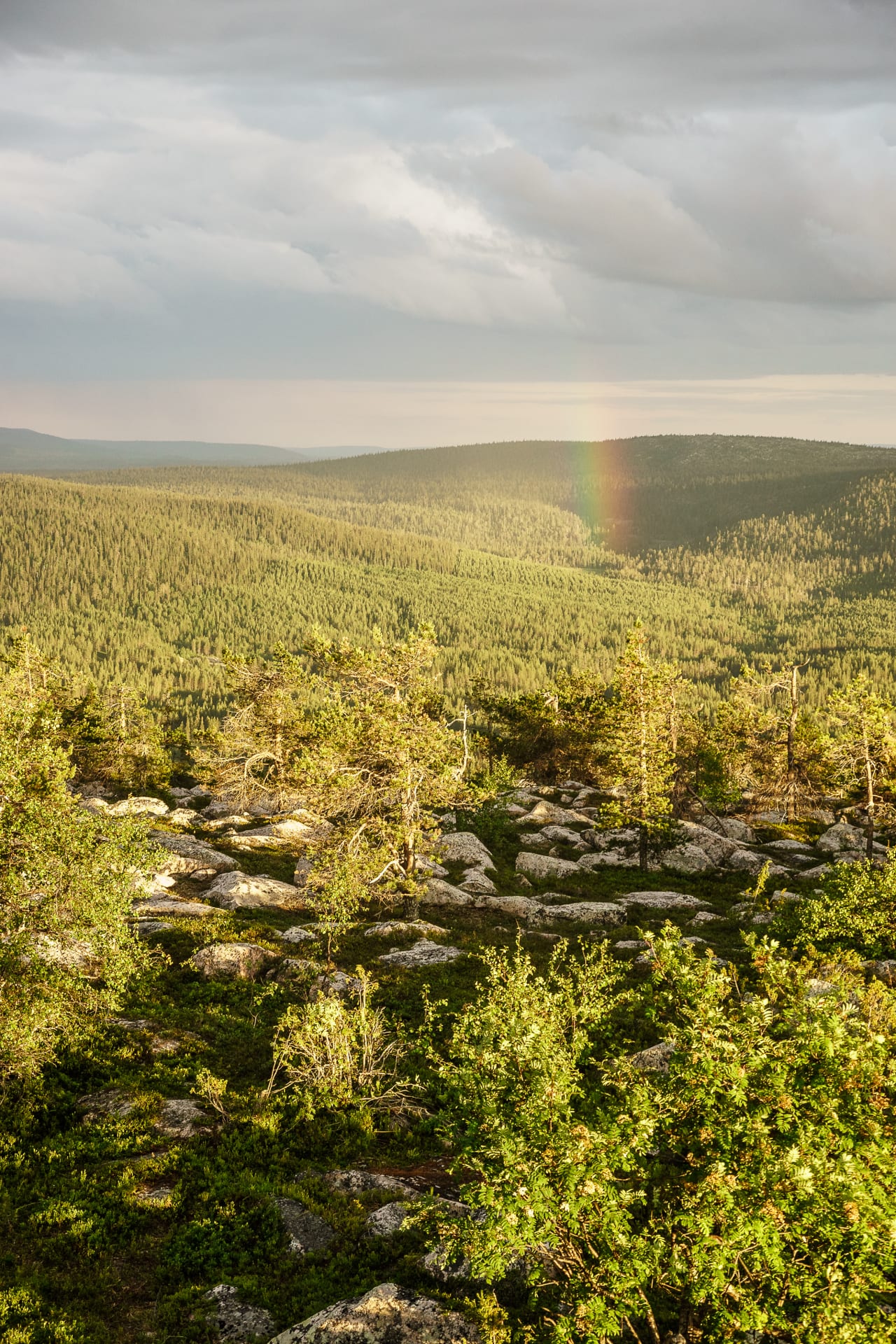 Midnight Hike | Visit Finland