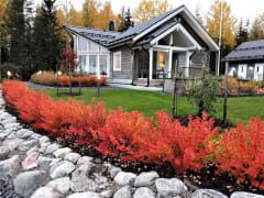 Syksyn ruska, Villa Paasirinne A