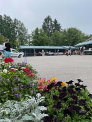 Kukkia ja torikojuja Narvan torilla - ©