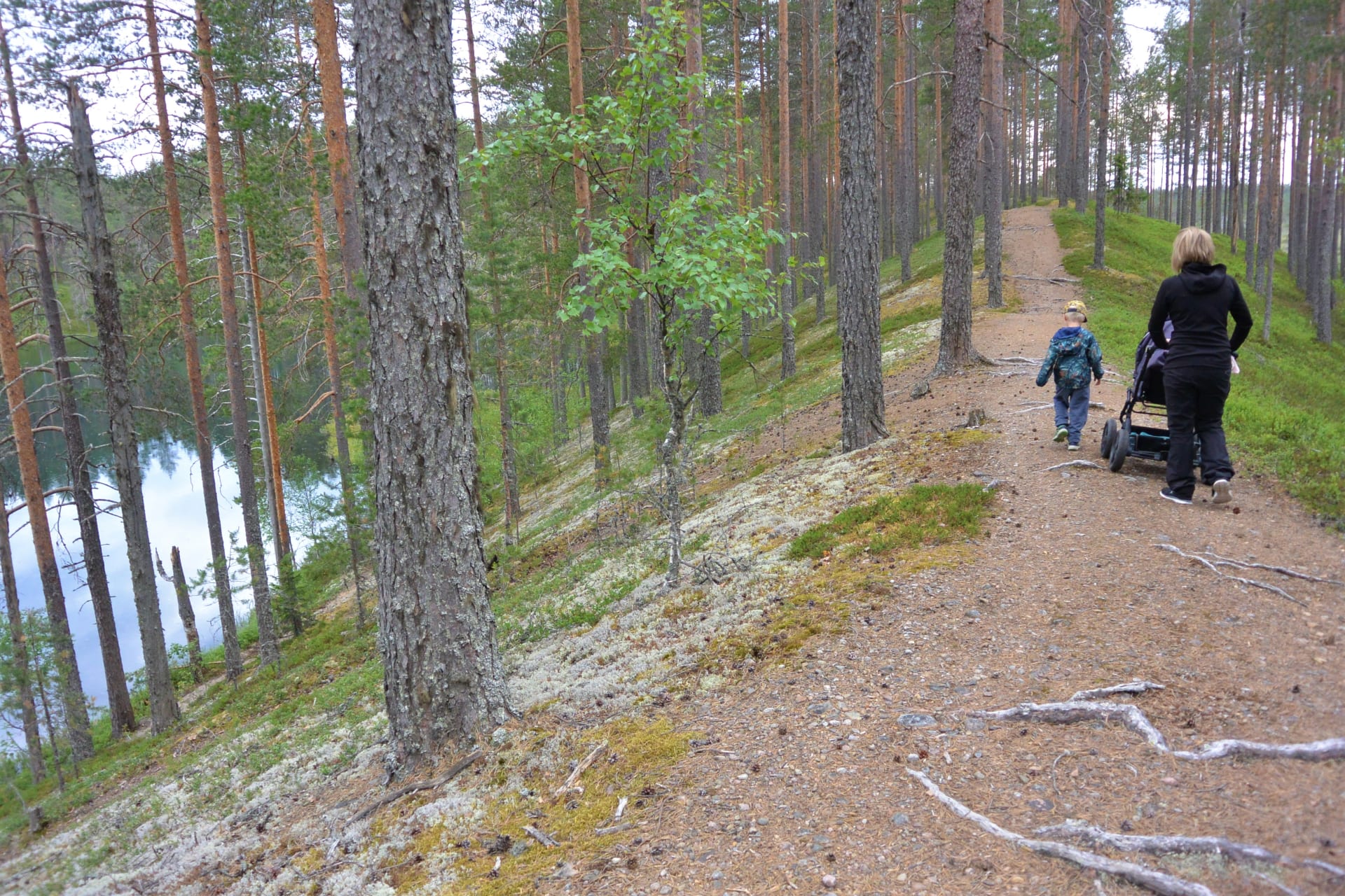 Raesärkät sopii luontokohteeksi lapsiperheille.