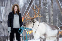 Take pictures with the reindeers