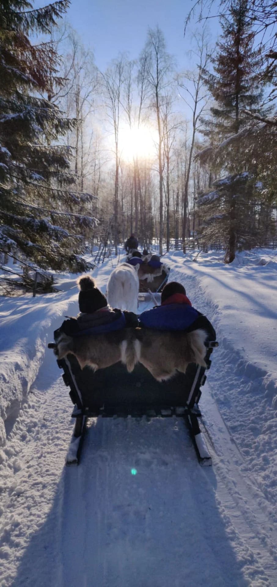 Sled Ride