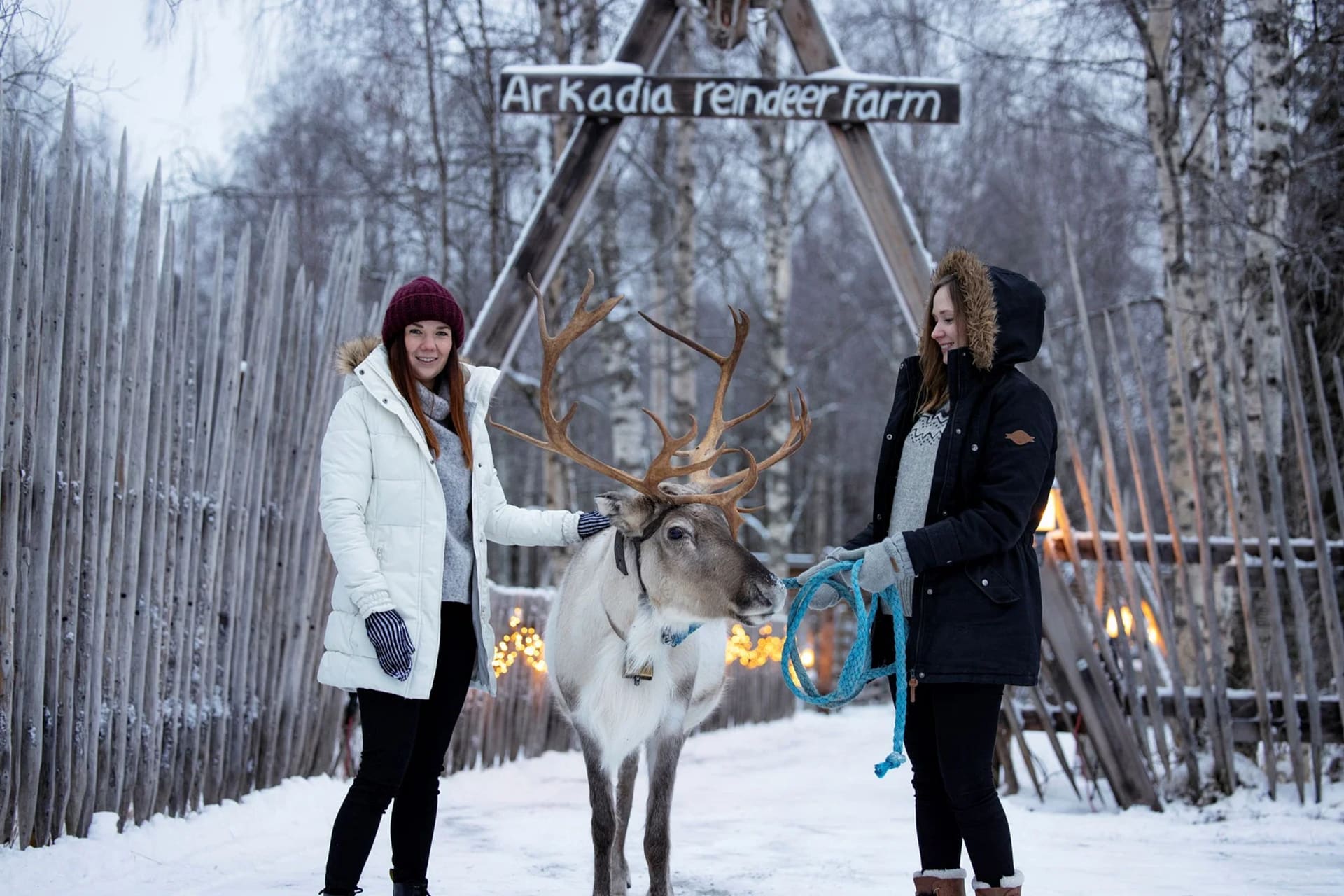 Reindeer Farm