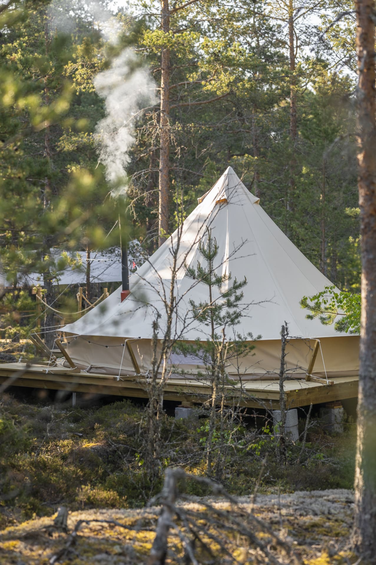Nature shaped glamping accommodation