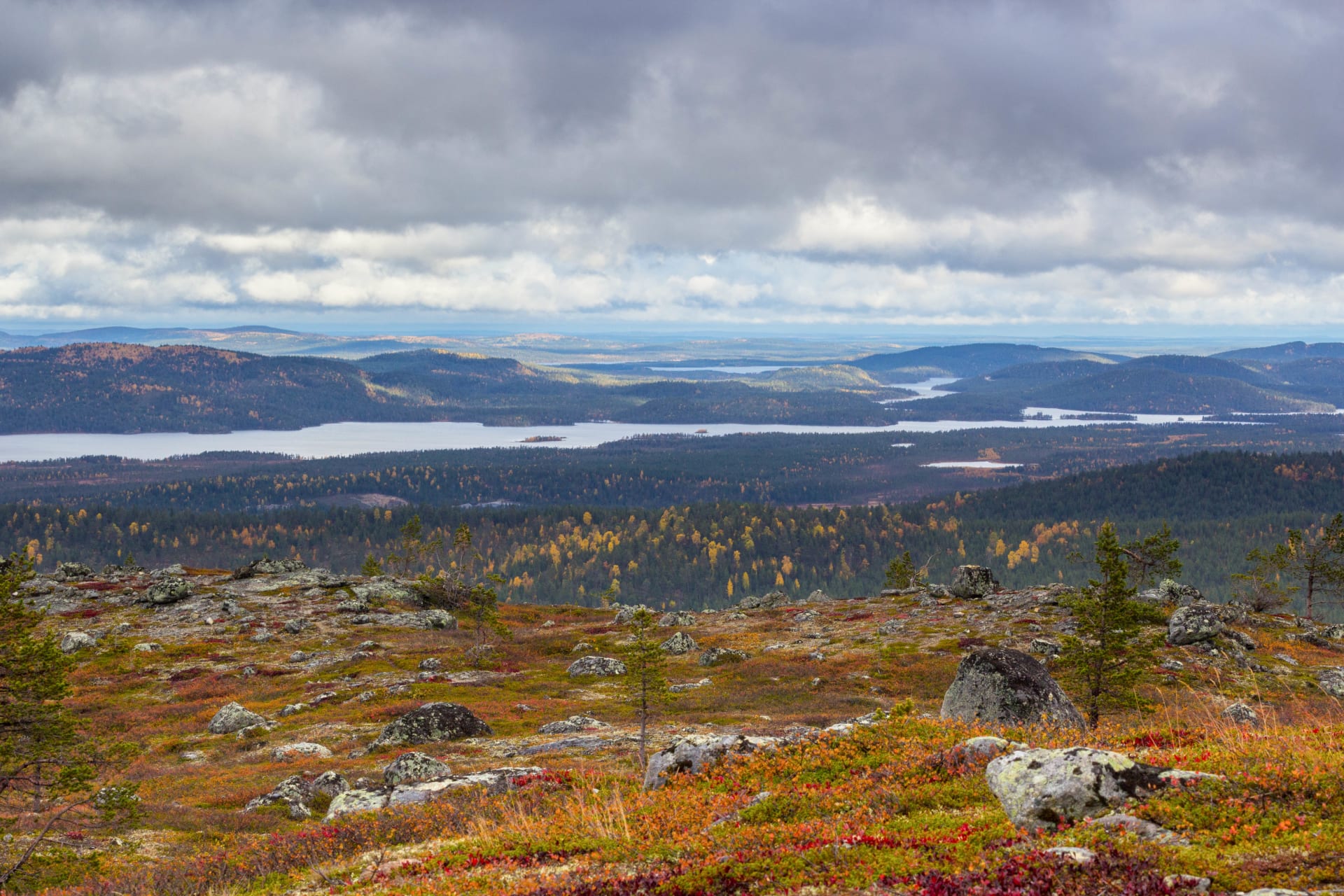 Otsamo fell
