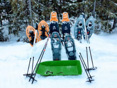 Lumikenkiä luonnossa liikkumiseen, Villa Paasirinne A