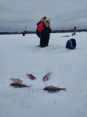 Arctic Sea Ice Fishing6