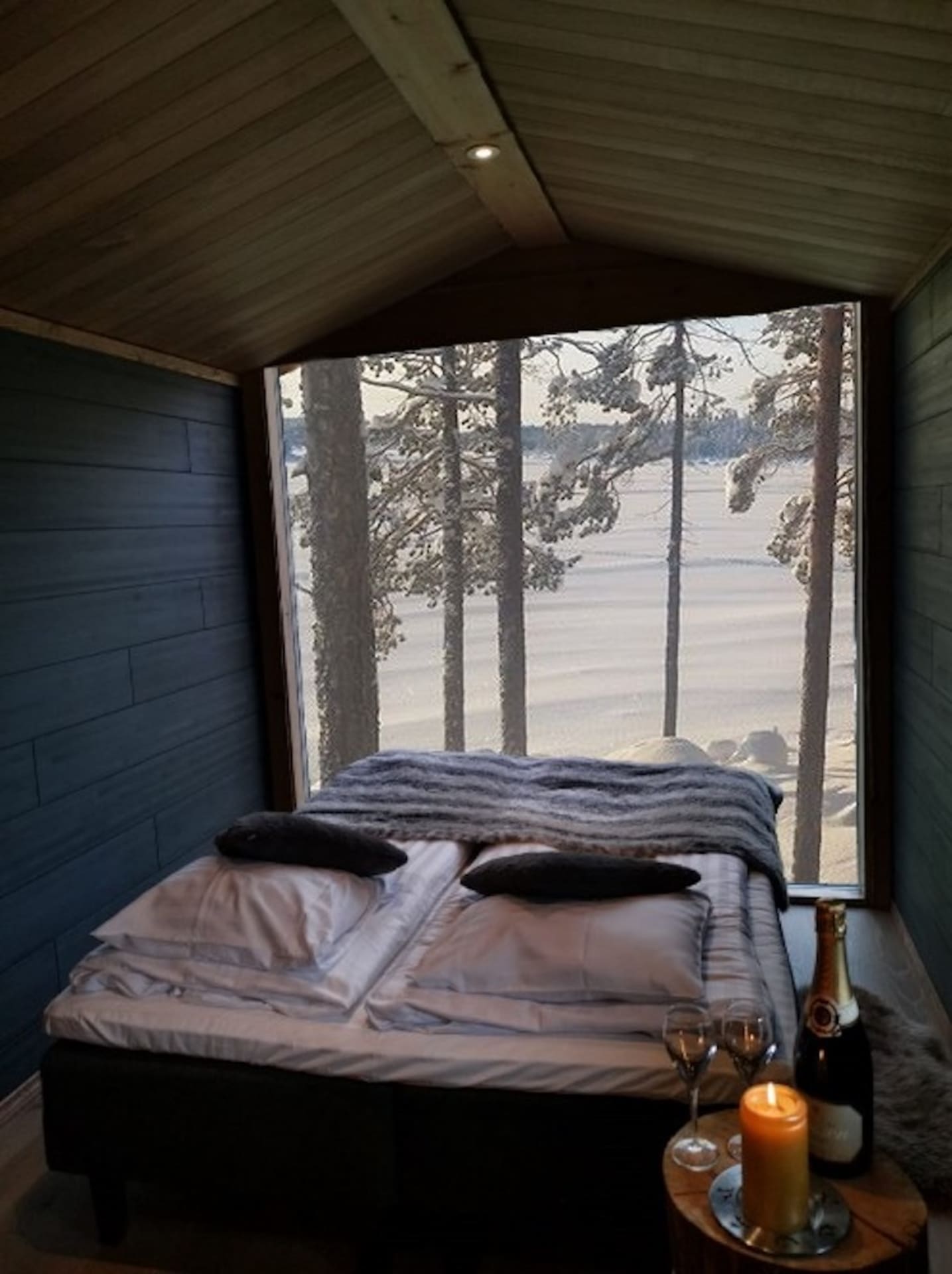 Arctic Nature Cabin