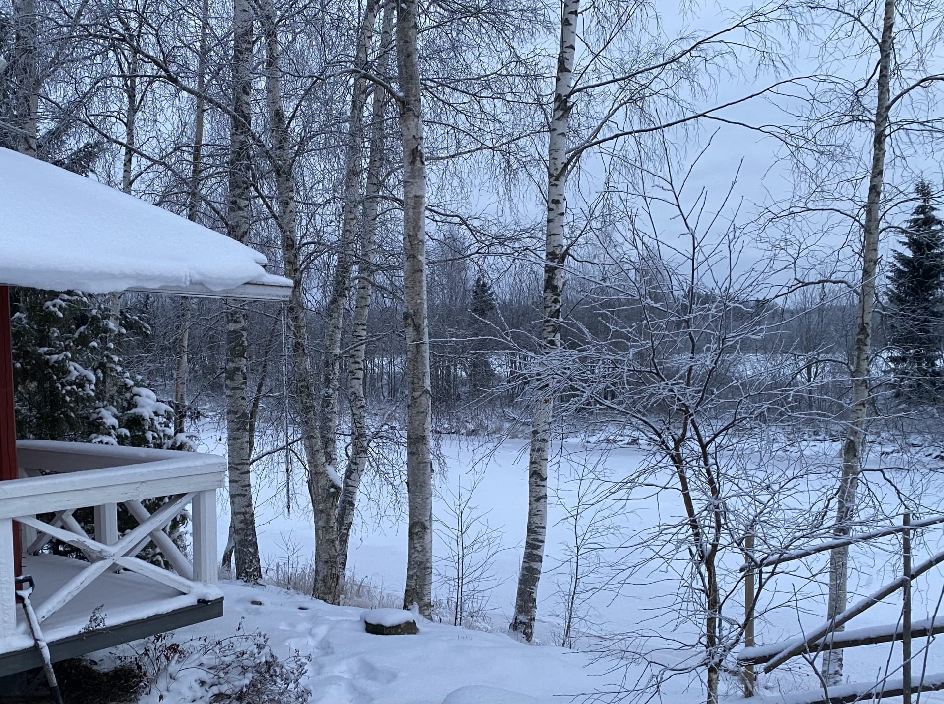 Winter view