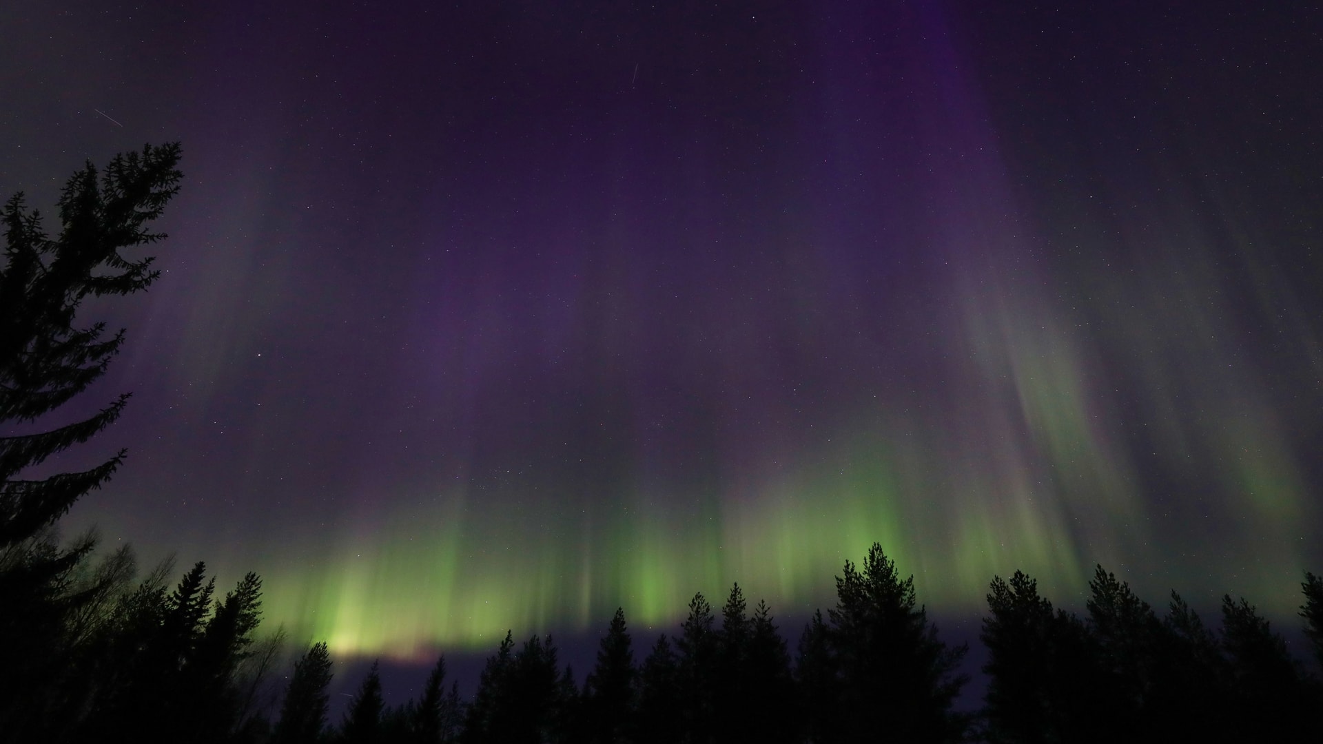 Northern lights occasionally appear at Villa Cone Beach, located further north than Reykjavik’s latitude, here in green and purple.