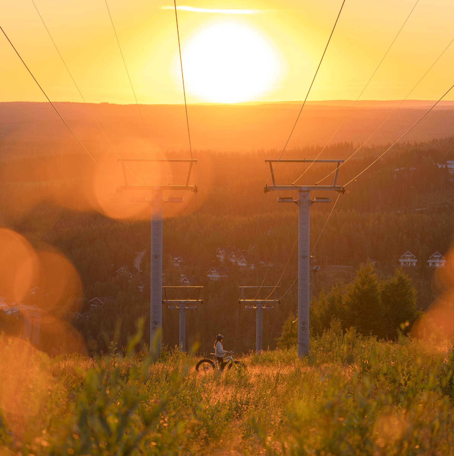 Experience the beautiful sunset of Ukkohalla by bike 