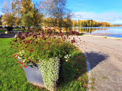 Kukkaistutus, taustalla järvi