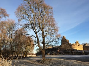 Talvimaisema, taustalla näkyy linnan rauniot talvisessa auringonvalossa. Etualalla näkyy lehdettömiä puita. Kuva: Aino von Boem