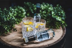 Tahko GIN-tasting