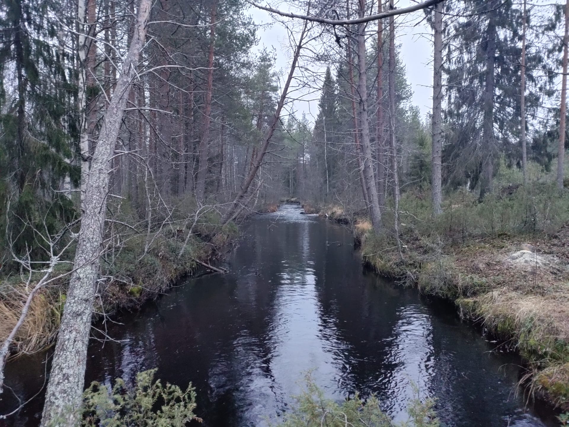 Caravan alueemme rajautuu Kangasjokeen