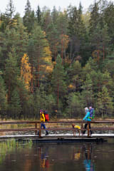 Nuuksion kansallispuisto