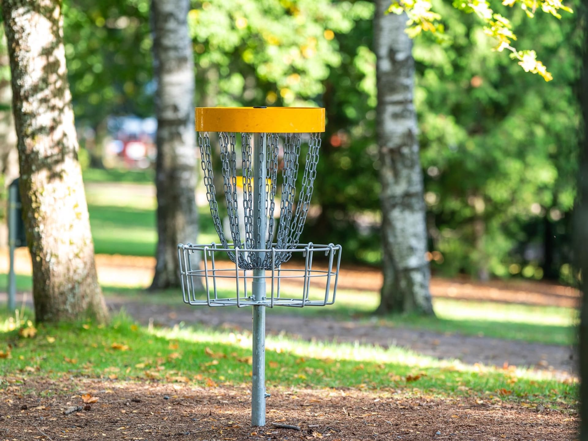 Disc Golf Basket and trees on the background