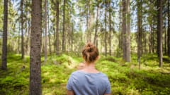 Tohlopin luontopolku